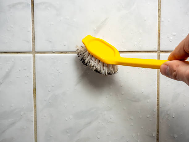 Best Fast Mold Removal  in Beverly Hills, CA