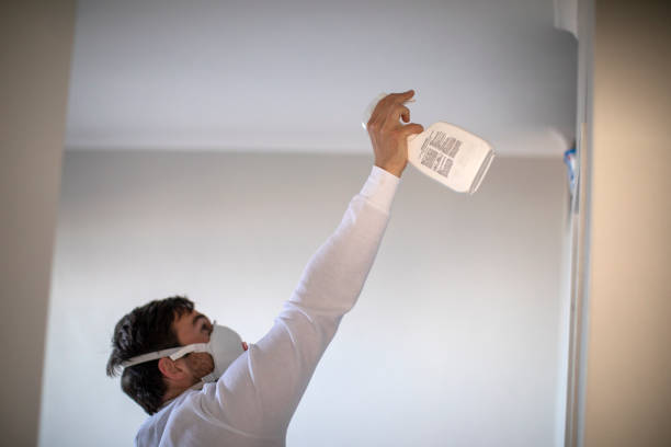 Best Home Mold Removal  in Beverly Hills, CA