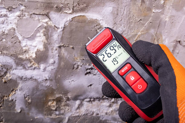 Best Water Damage Restoration  in Beverly Hills, CA